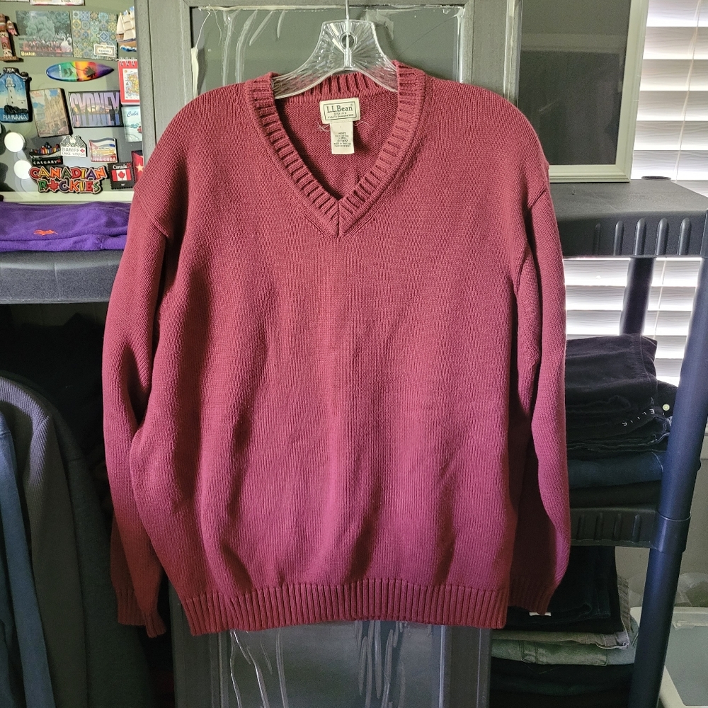 L.L. Bean Mens Large V Neck Sweater